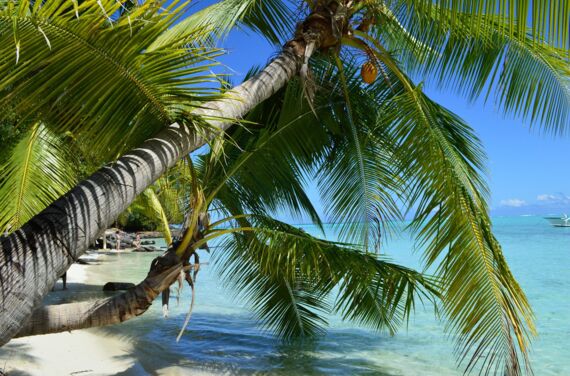 2026 Reisemedizin Kurs
